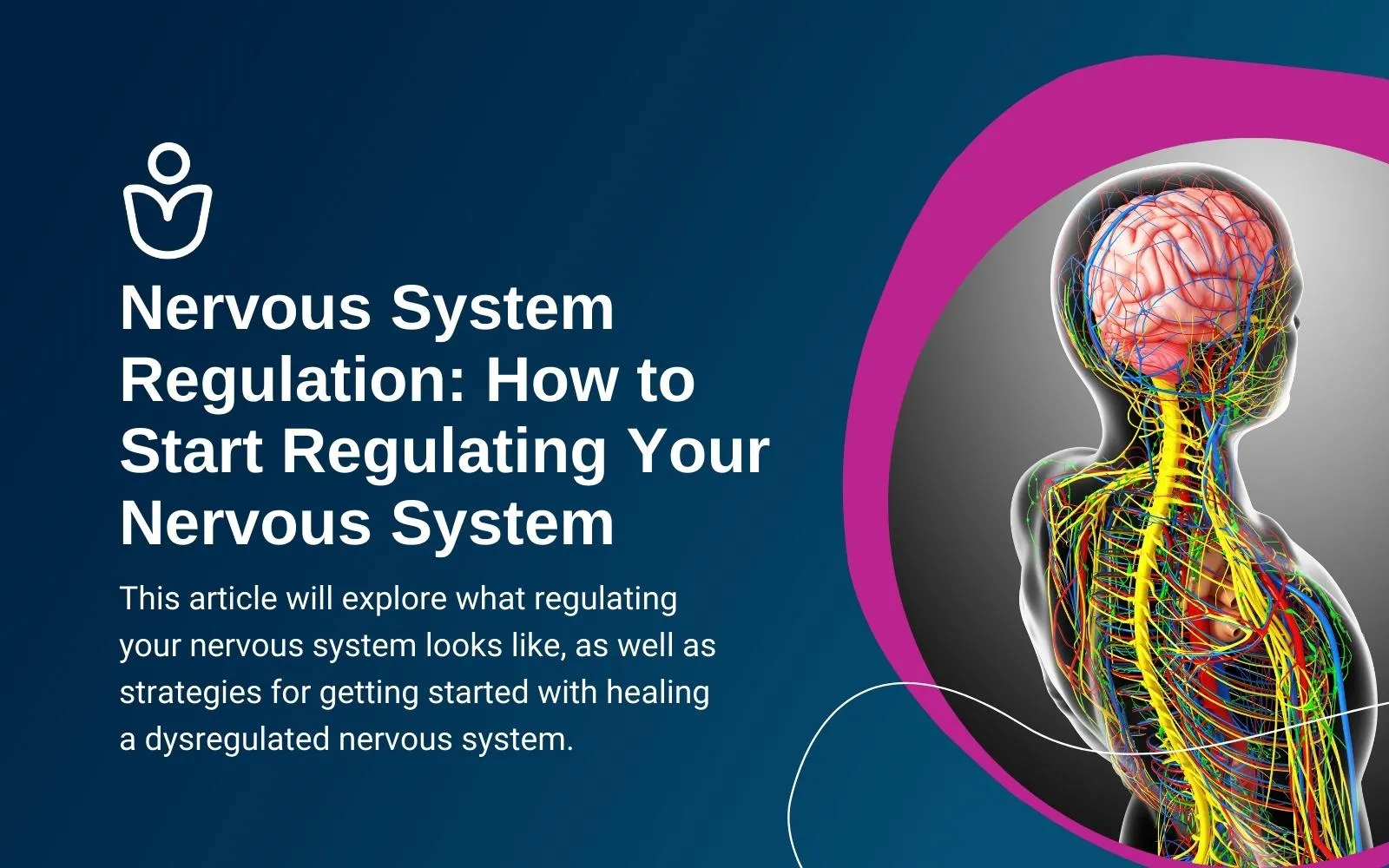 Nervous System Regulation
